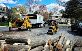 Best Lawn Disease Treatment  in Edburgh, IN