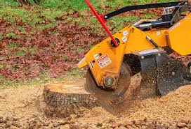 Best Stump Grinding and Removal  in Edburgh, IN
