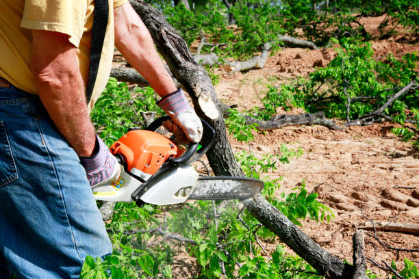 Best Firewood Processing and Delivery  in Edburgh, IN